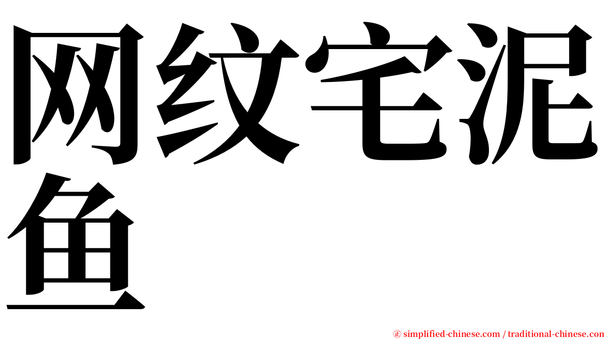 网纹宅泥鱼 serif font