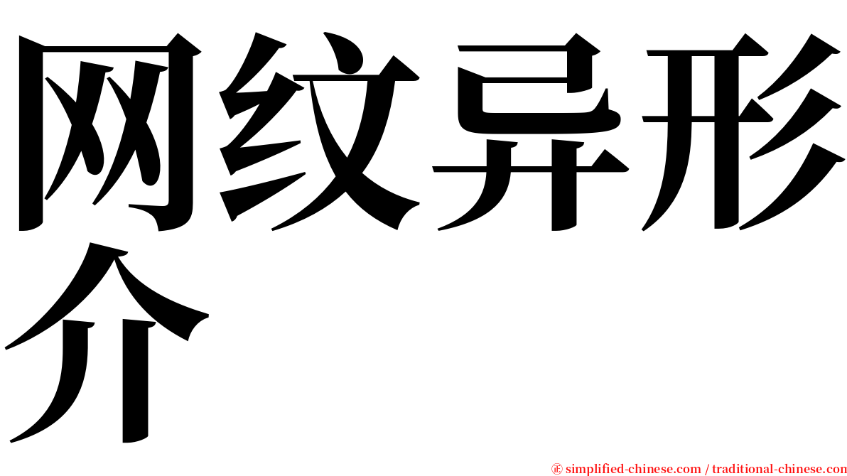 网纹异形介 serif font