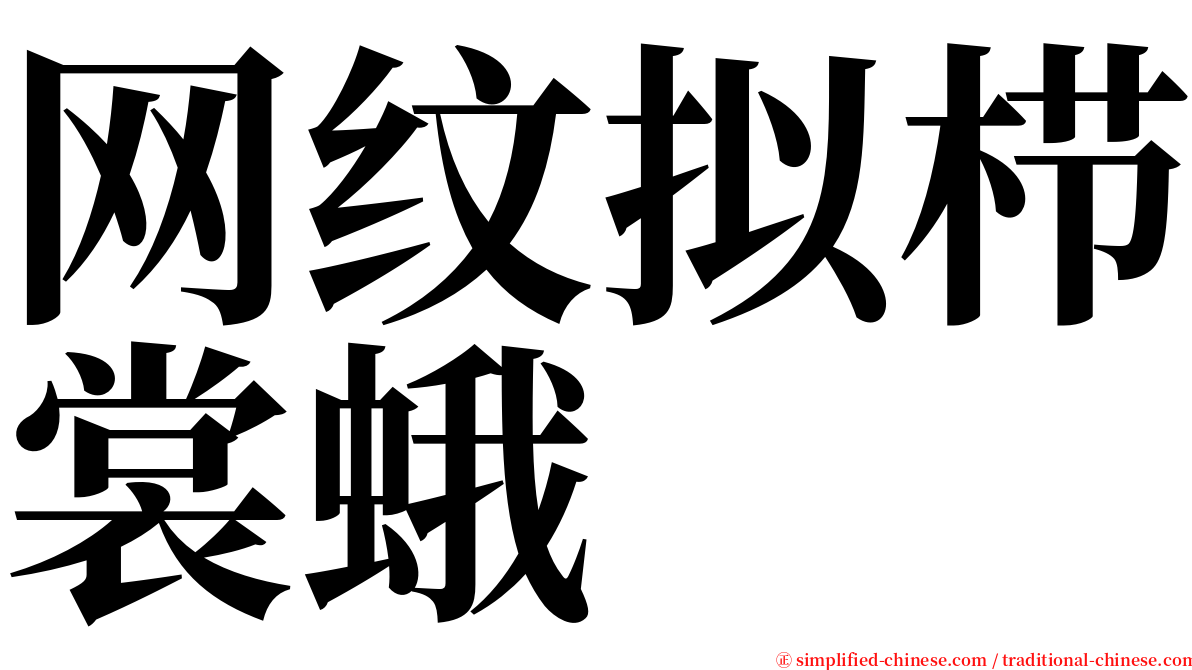 网纹拟栉裳蛾 serif font