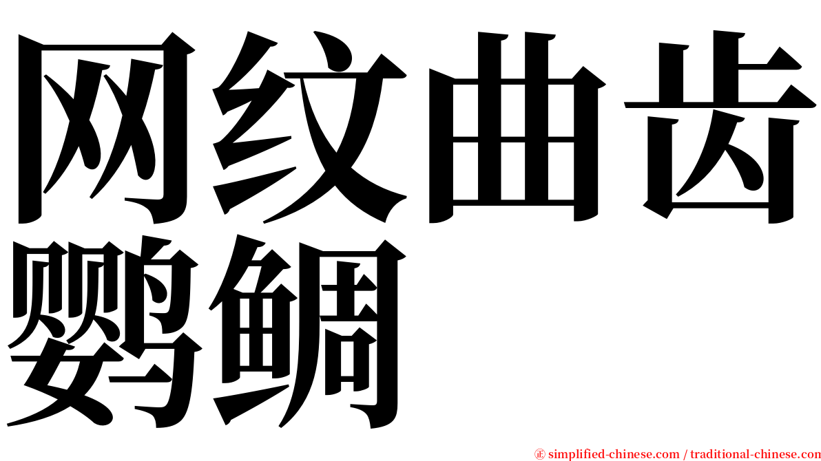 网纹曲齿鹦鲷 serif font