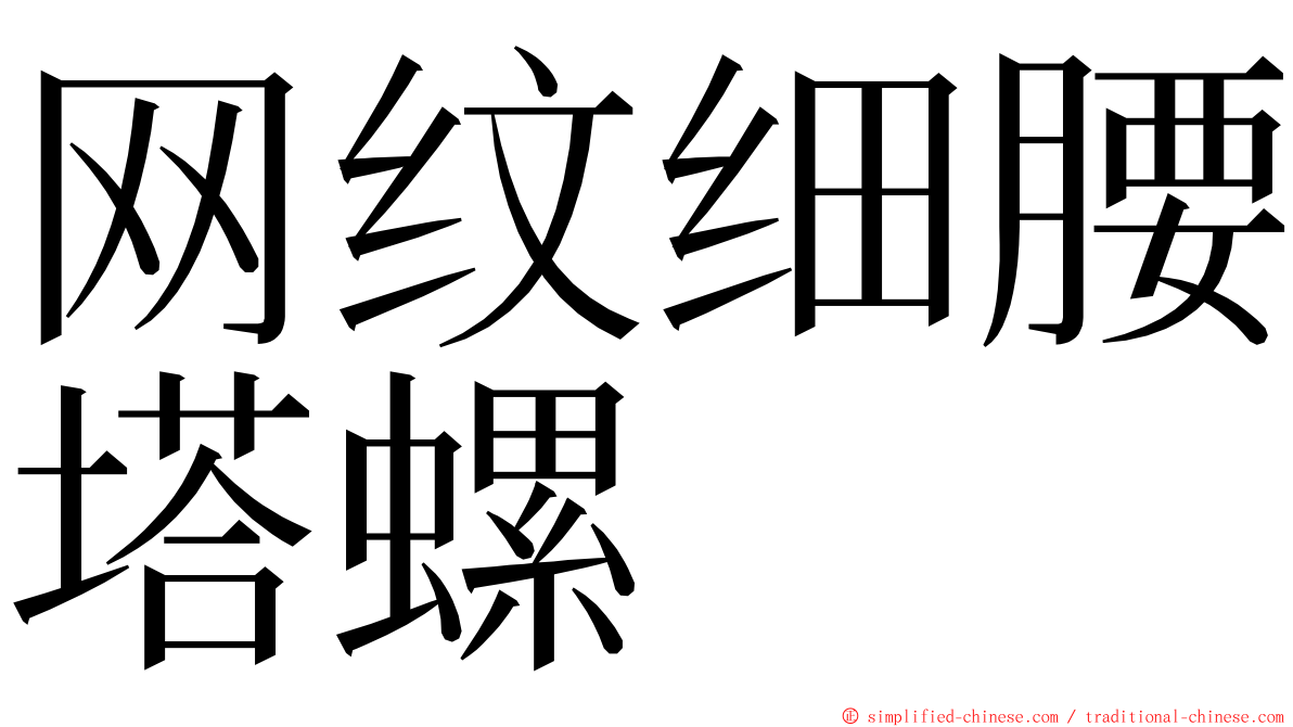 网纹细腰塔螺 ming font