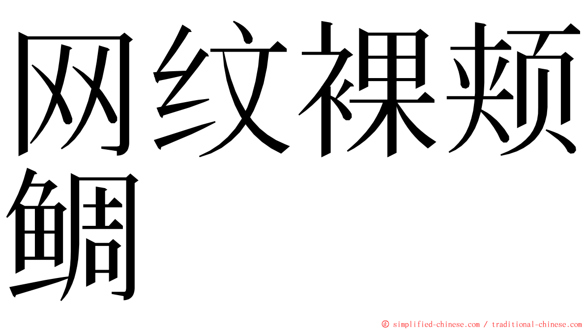 网纹裸颊鲷 ming font