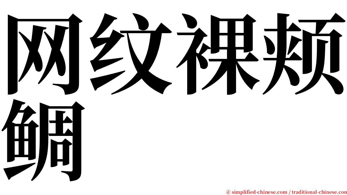 网纹裸颊鲷 serif font