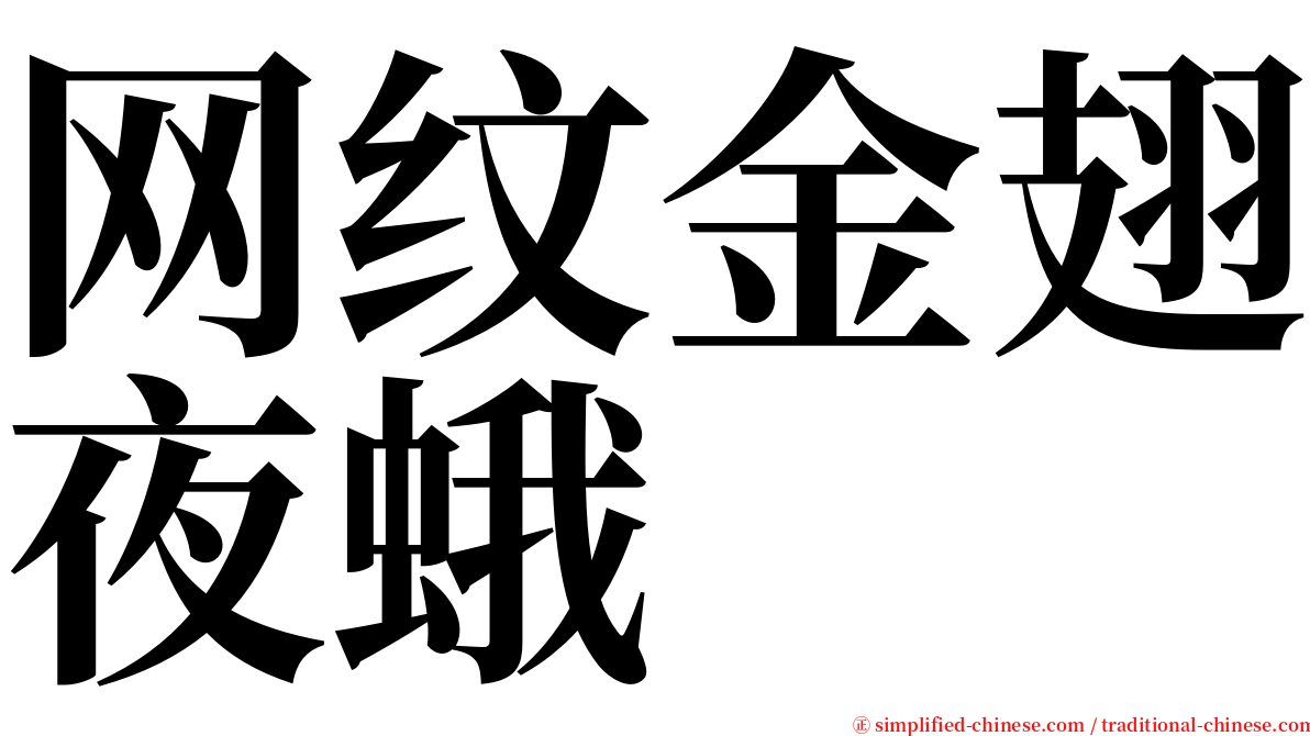 网纹金翅夜蛾 serif font