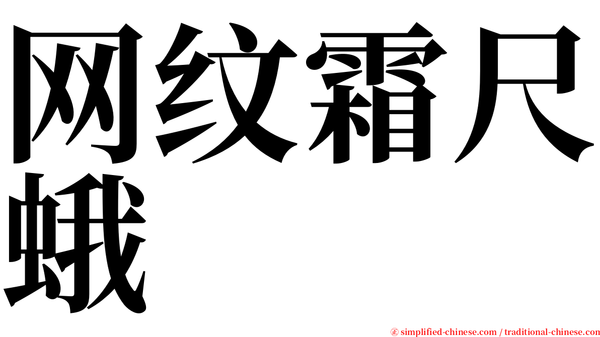 网纹霜尺蛾 serif font