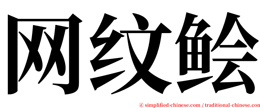 网纹鲙 serif font