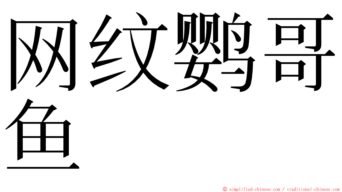 网纹鹦哥鱼 ming font