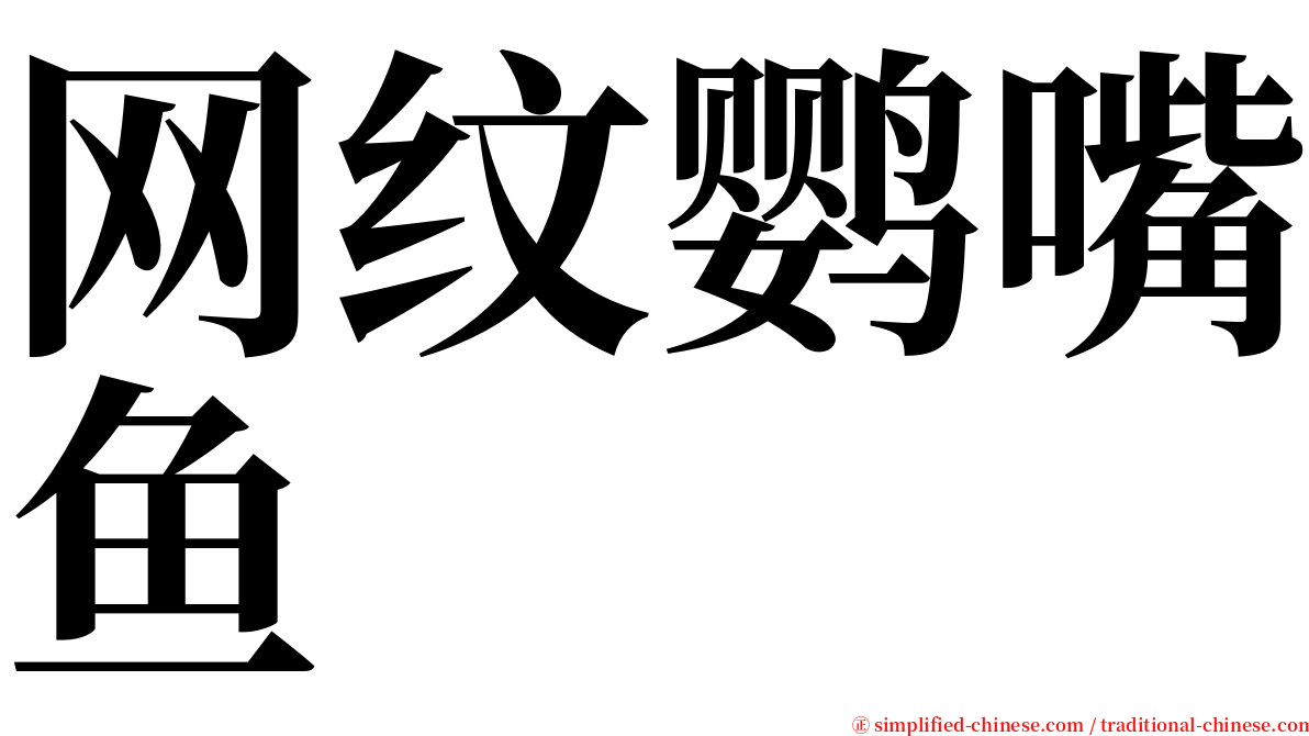 网纹鹦嘴鱼 serif font