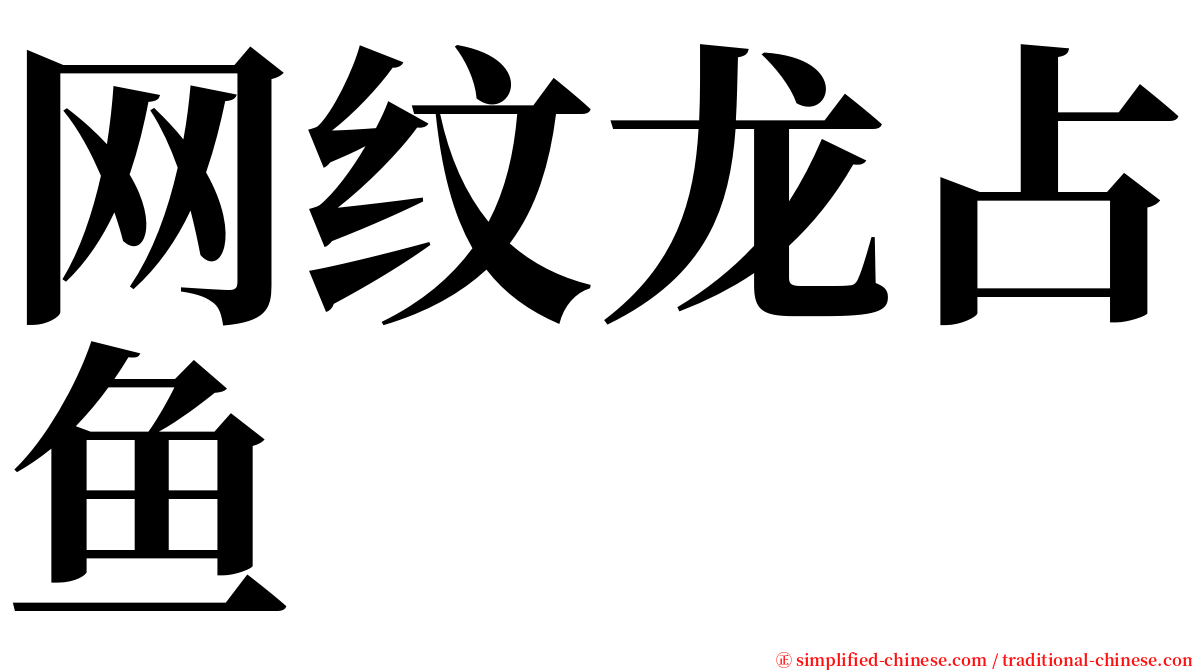 网纹龙占鱼 serif font