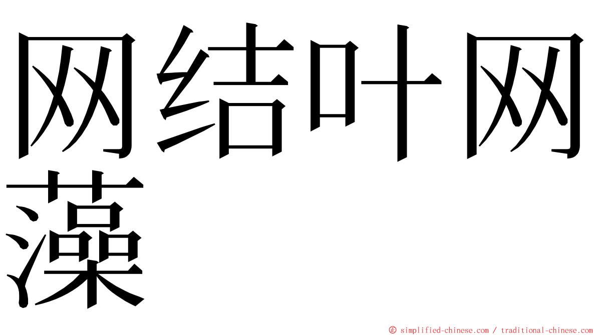 网结叶网藻 ming font