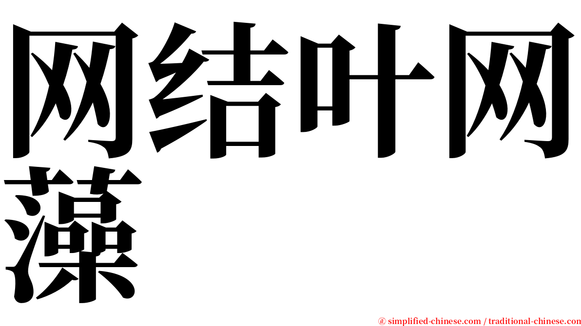 网结叶网藻 serif font