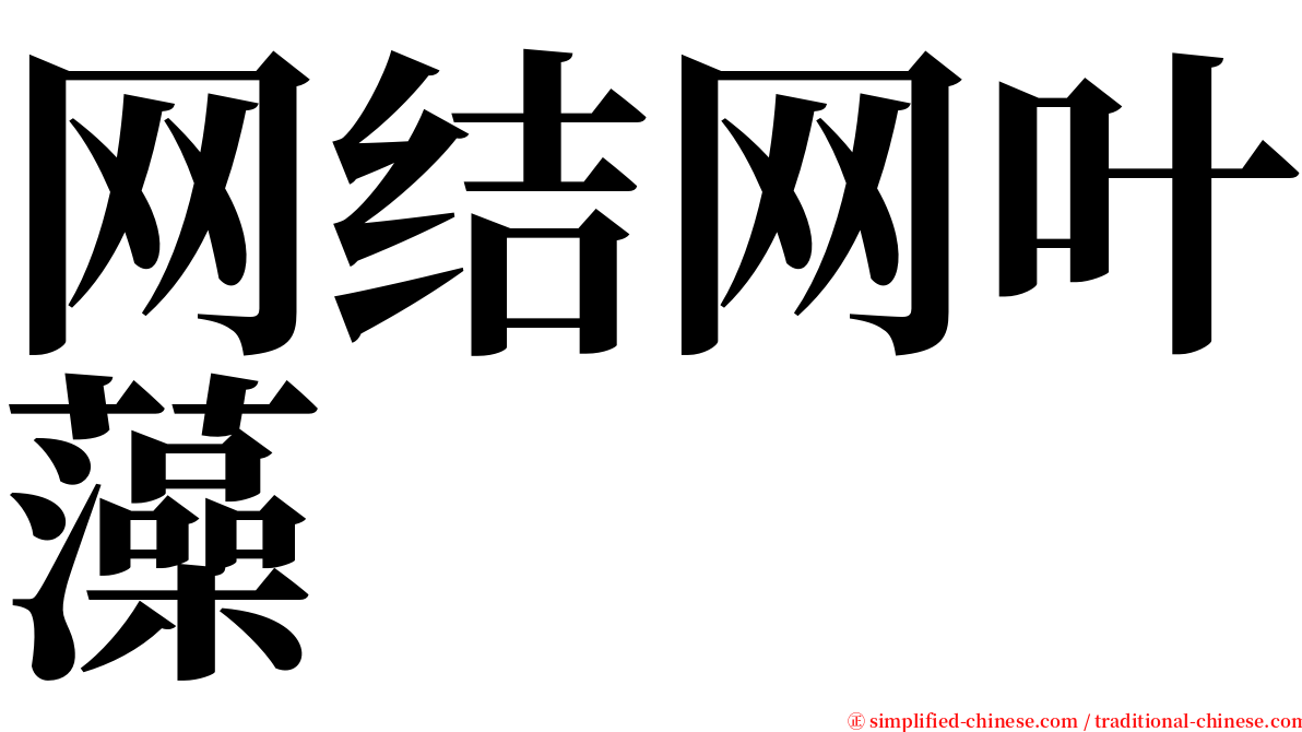 网结网叶藻 serif font