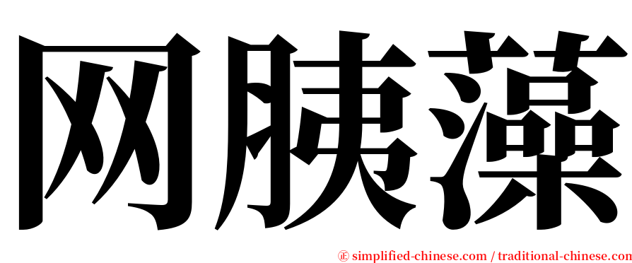 网胰藻 serif font