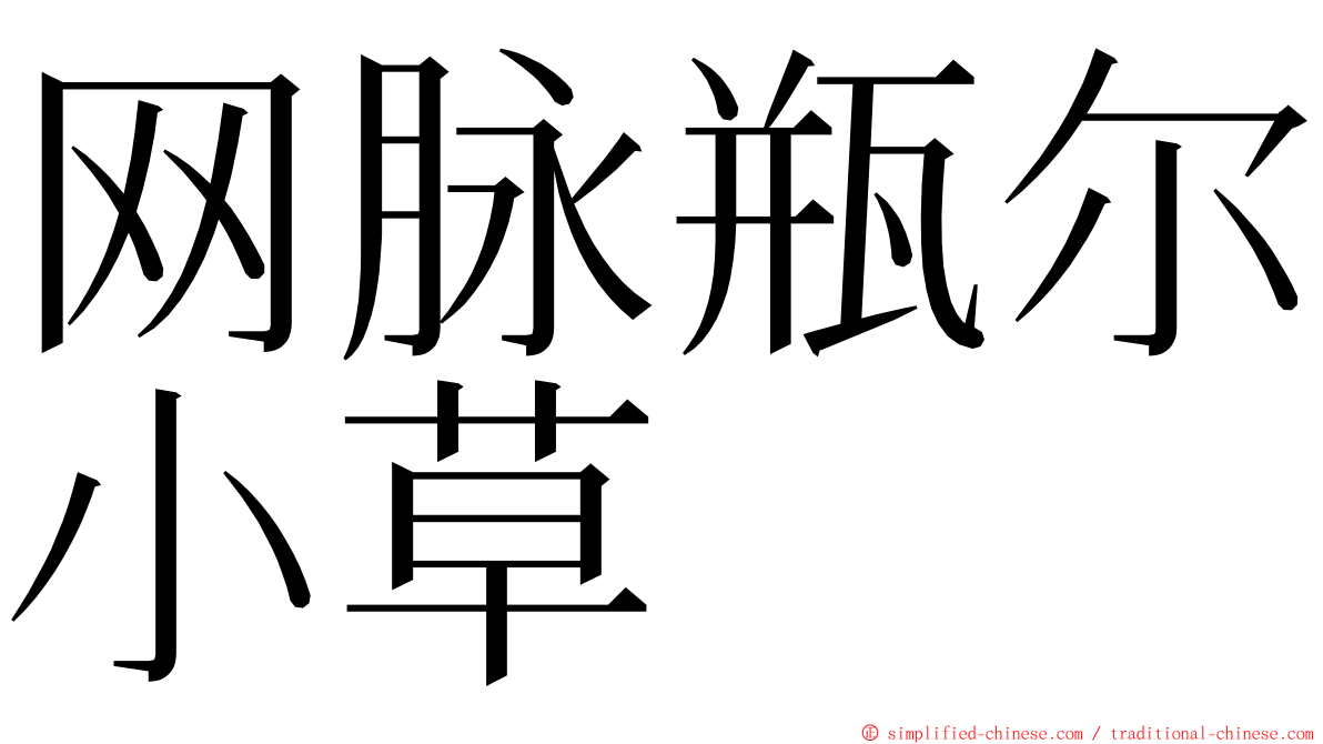 网脉瓶尔小草 ming font