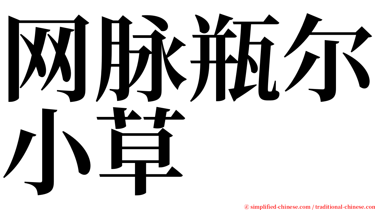 网脉瓶尔小草 serif font