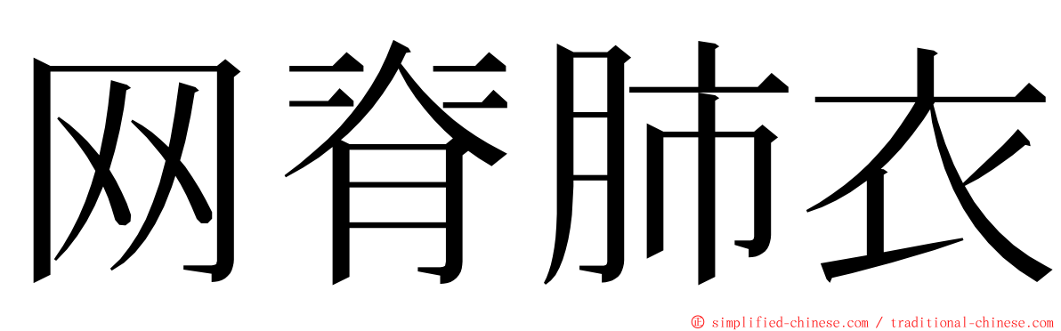 网脊肺衣 ming font