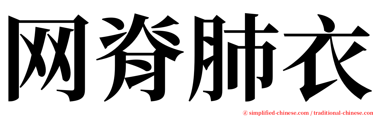 网脊肺衣 serif font