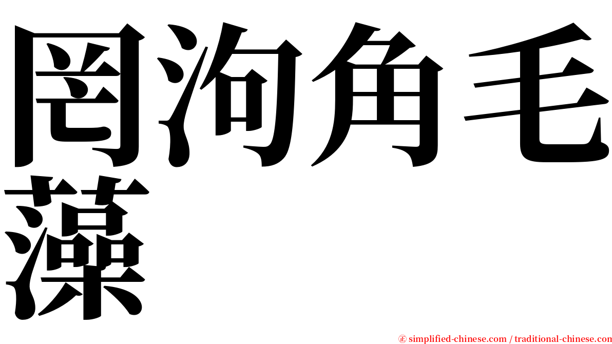 罔泃角毛藻 serif font