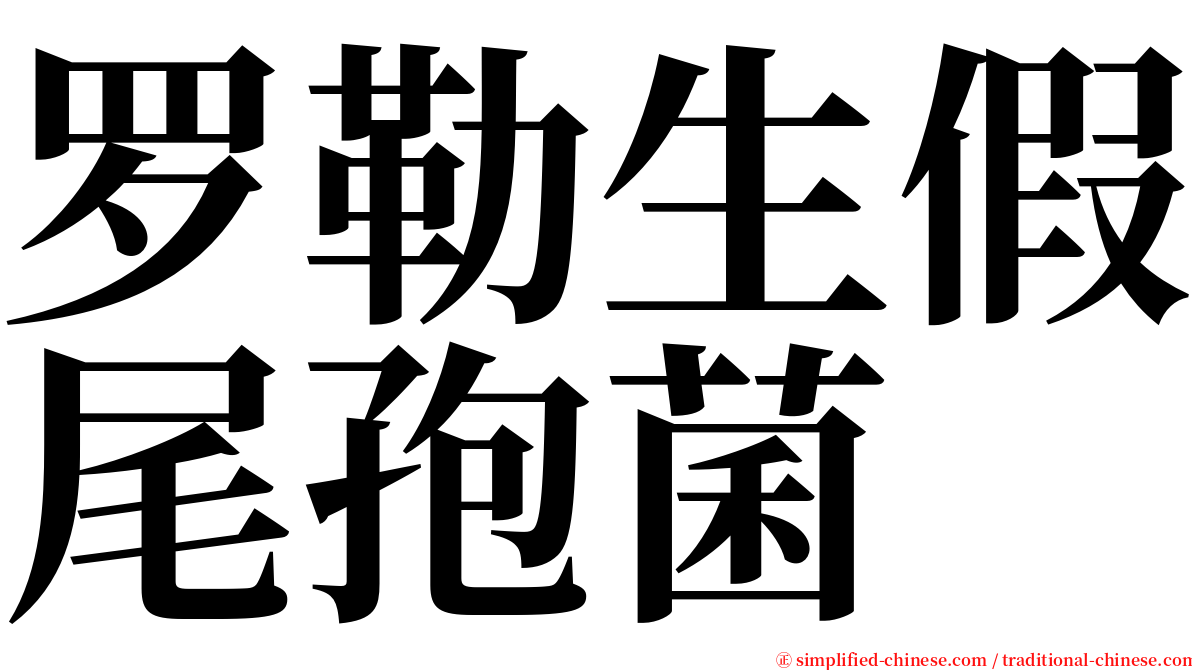 罗勒生假尾孢菌 serif font