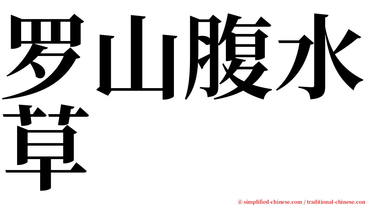 罗山腹水草 serif font