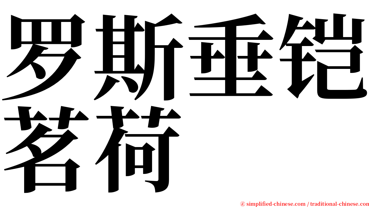 罗斯垂铠茗荷 serif font