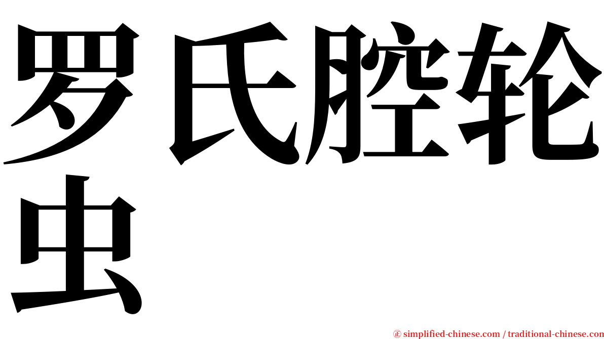 罗氏腔轮虫 serif font