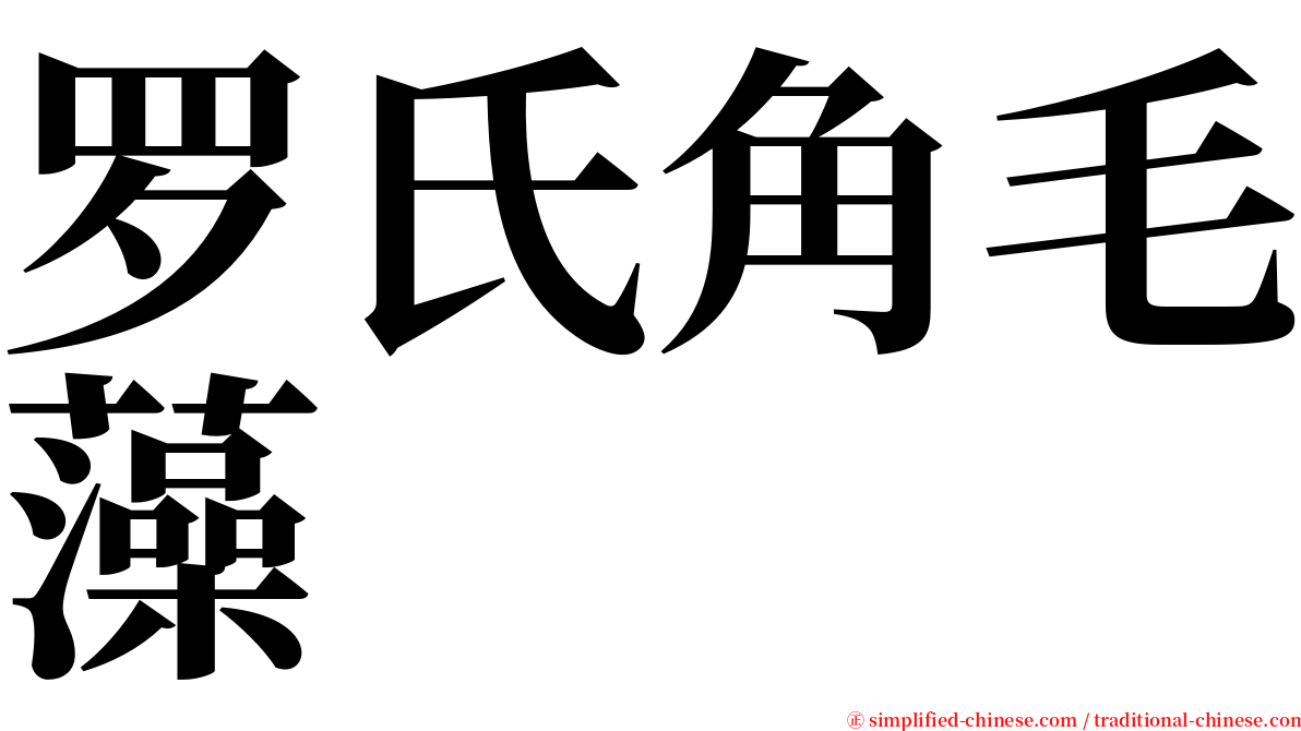 罗氏角毛藻 serif font
