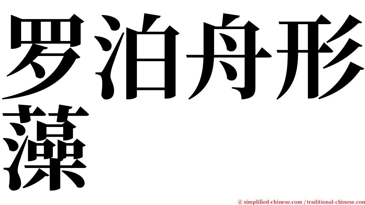 罗泊舟形藻 serif font