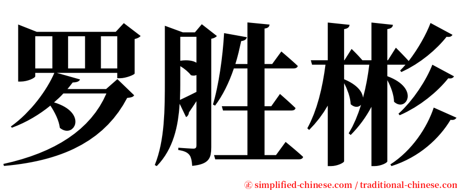 罗胜彬 serif font