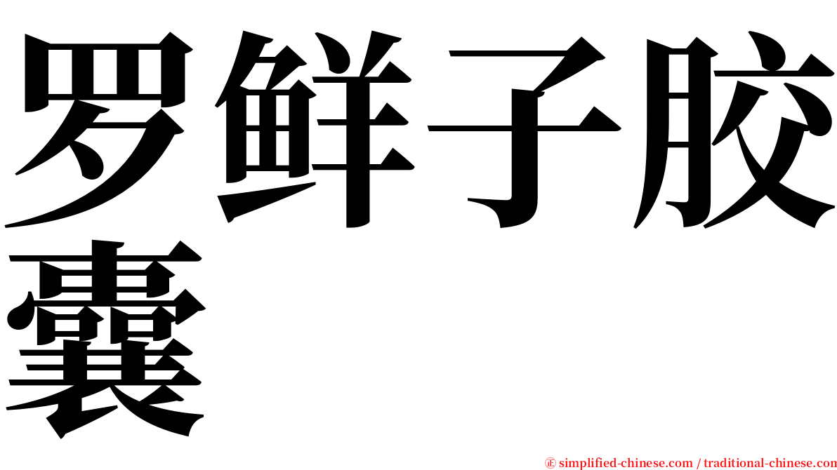 罗鲜子胶囊 serif font