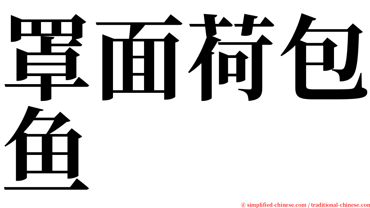 罩面荷包鱼 serif font