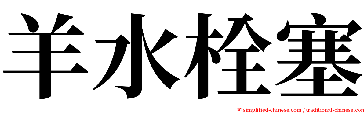 羊水栓塞 serif font