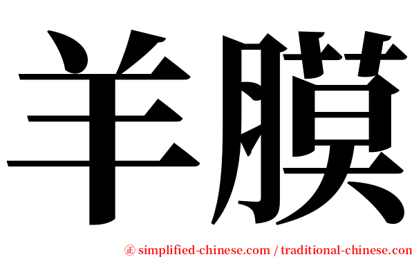 羊膜 serif font