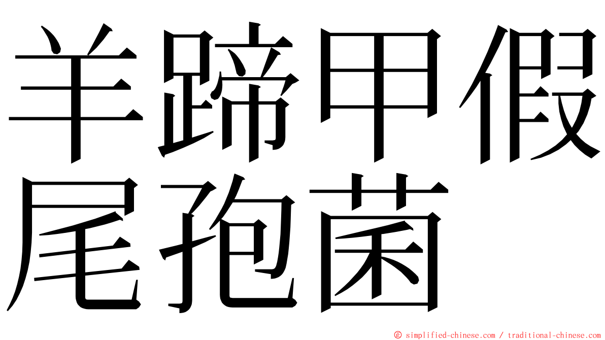 羊蹄甲假尾孢菌 ming font