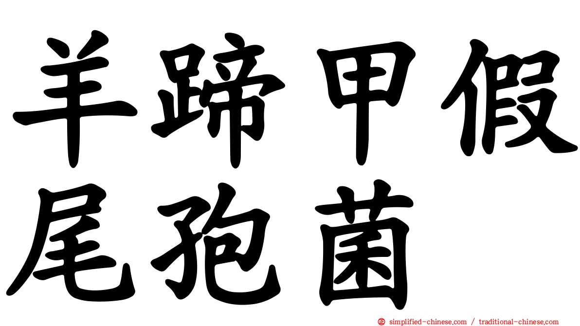 羊蹄甲假尾孢菌