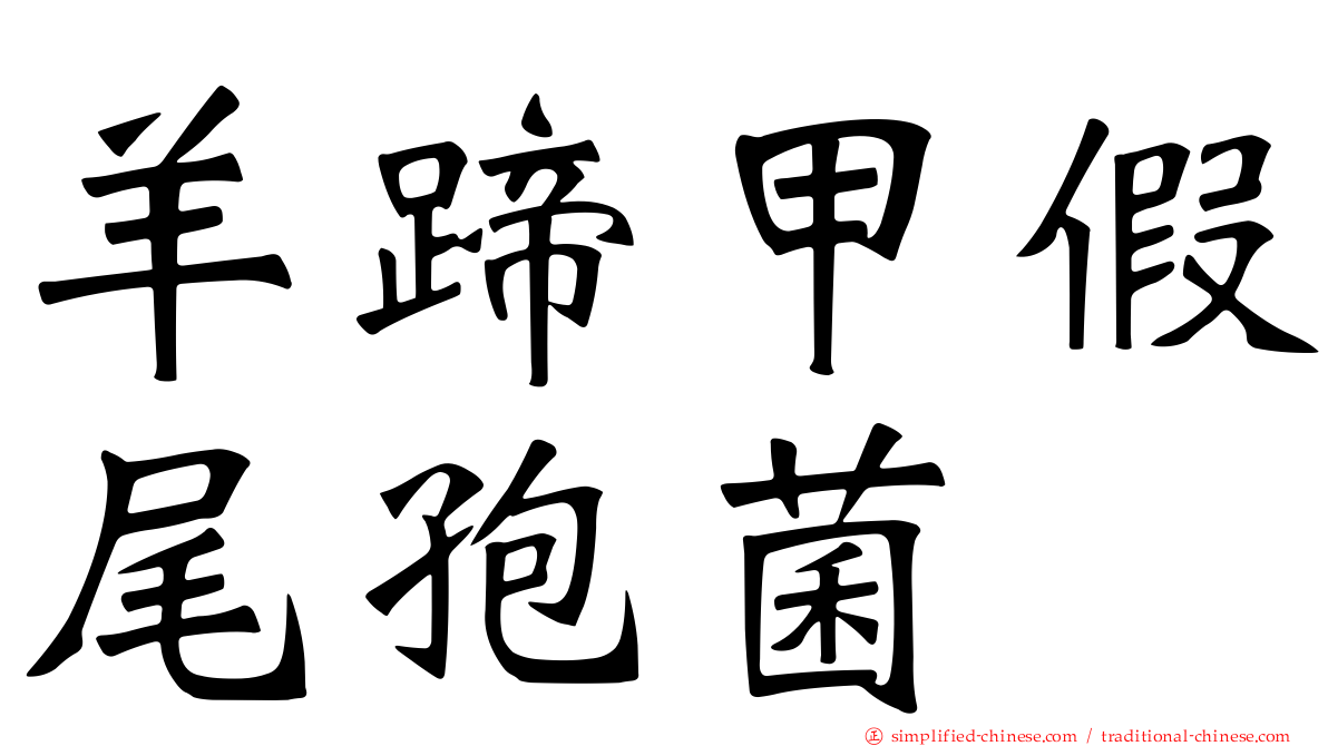 羊蹄甲假尾孢菌