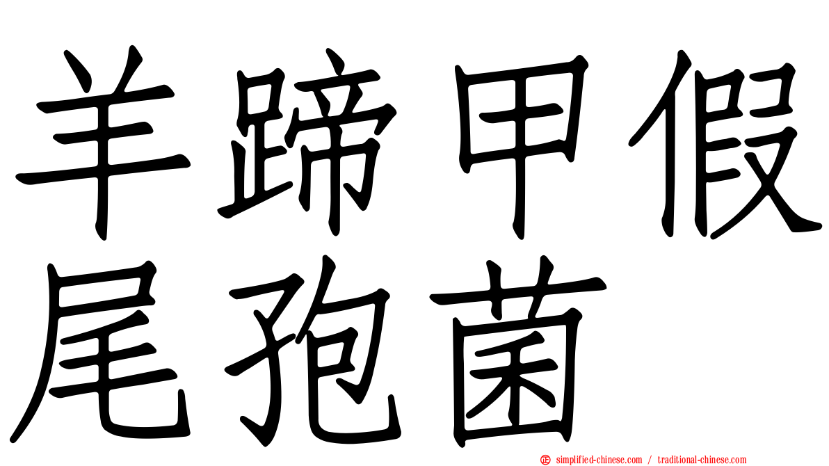 羊蹄甲假尾孢菌