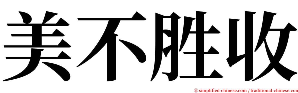 美不胜收 serif font