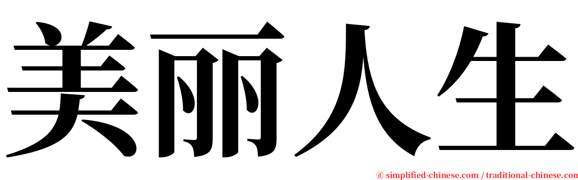 美丽人生 serif font