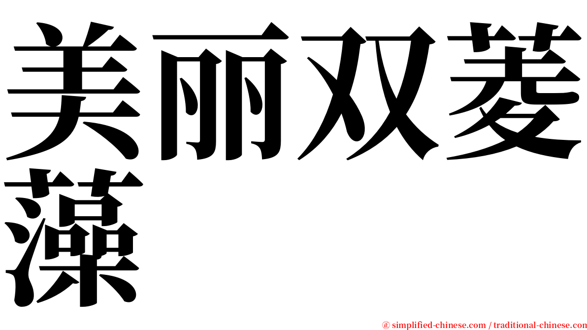 美丽双菱藻 serif font