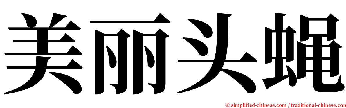 美丽头蝇 serif font