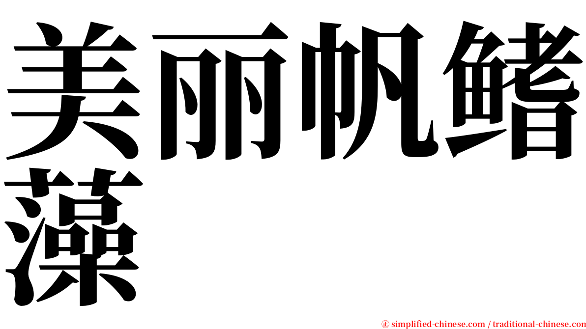 美丽帆鳍藻 serif font