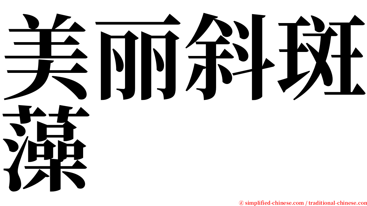 美丽斜斑藻 serif font