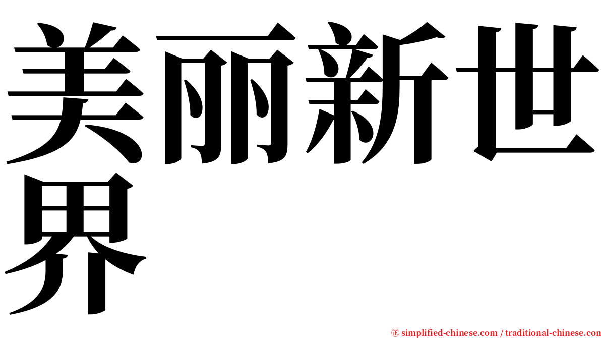 美丽新世界 serif font