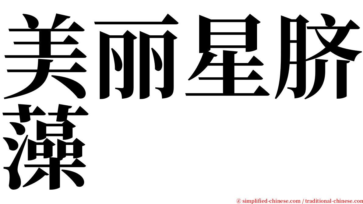 美丽星脐藻 serif font