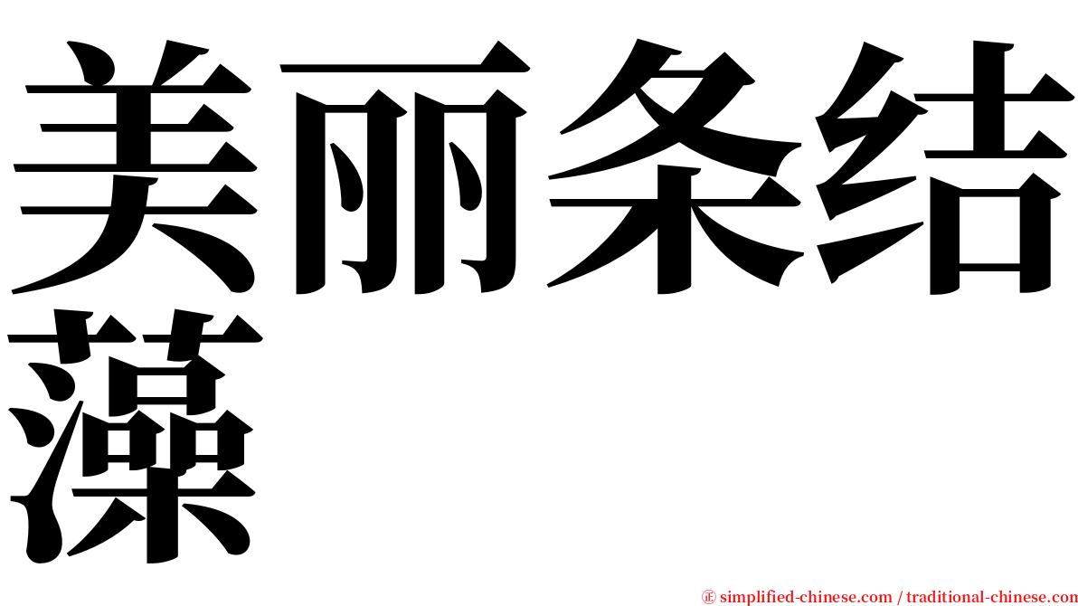 美丽条结藻 serif font