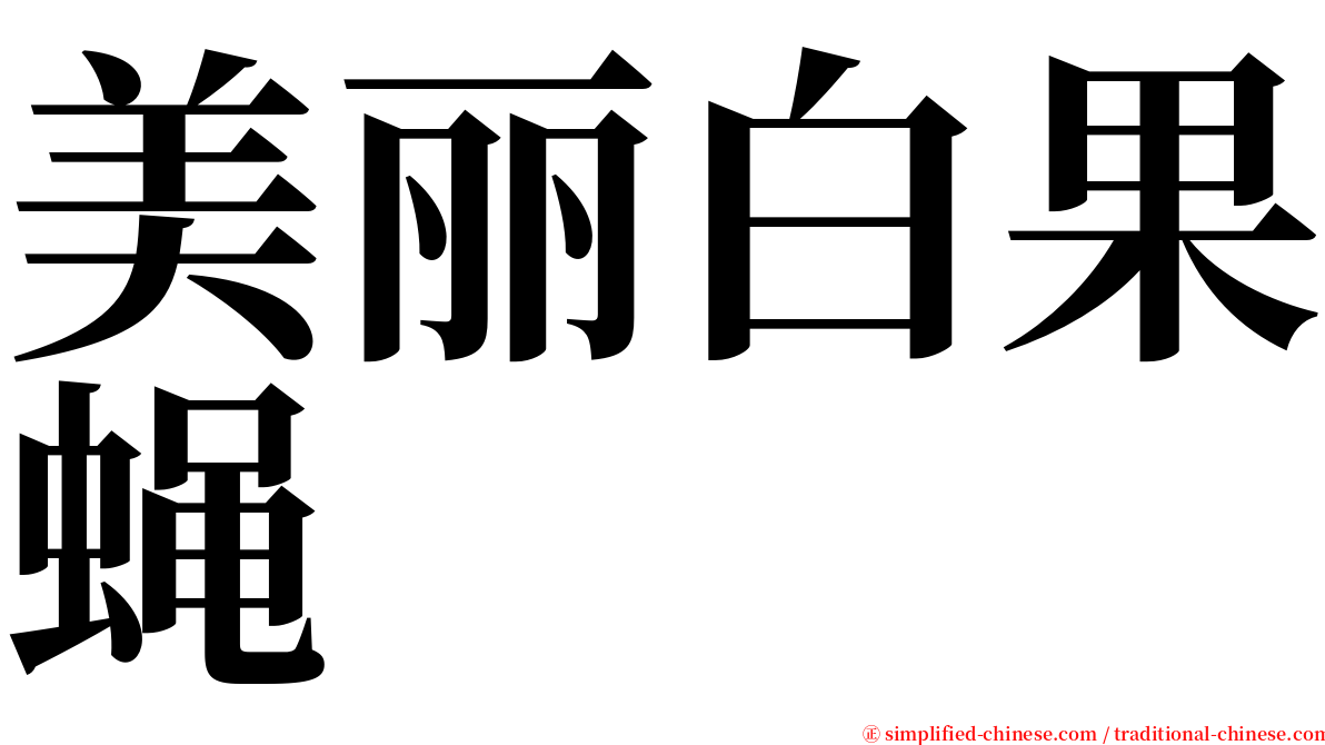 美丽白果蝇 serif font