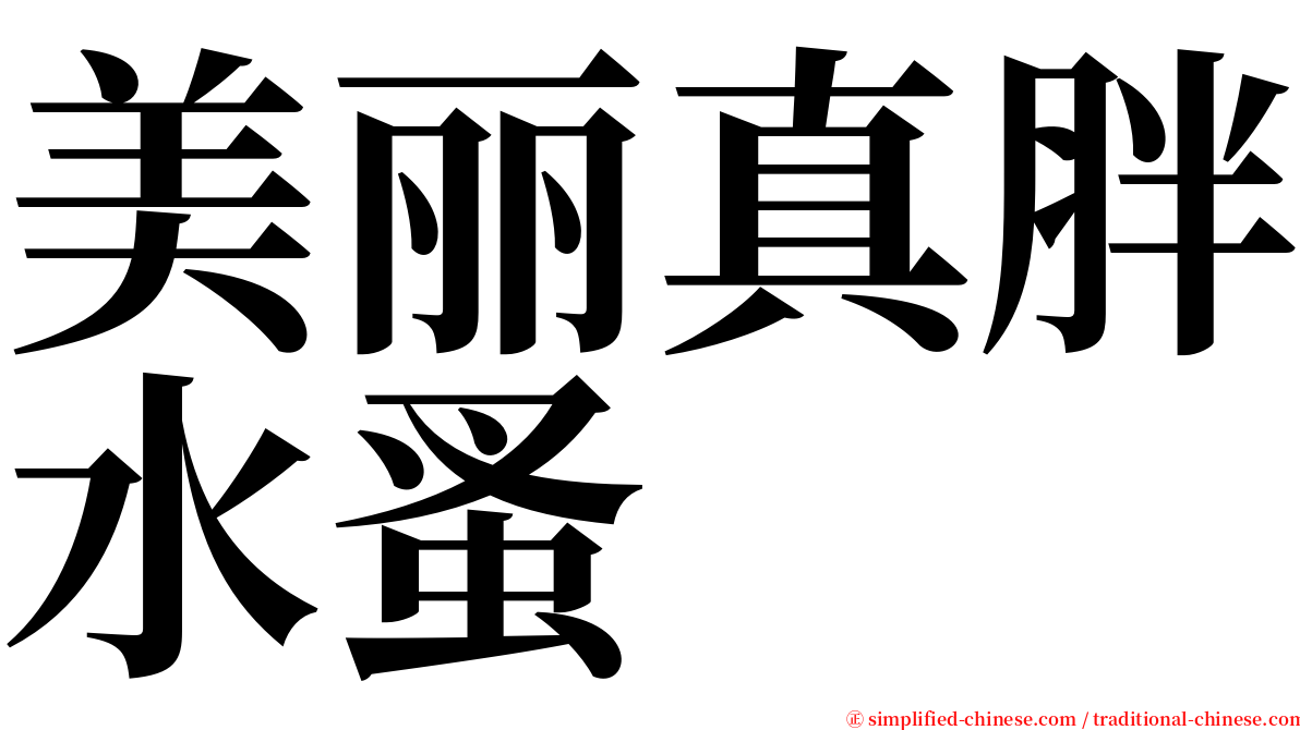 美丽真胖水蚤 serif font