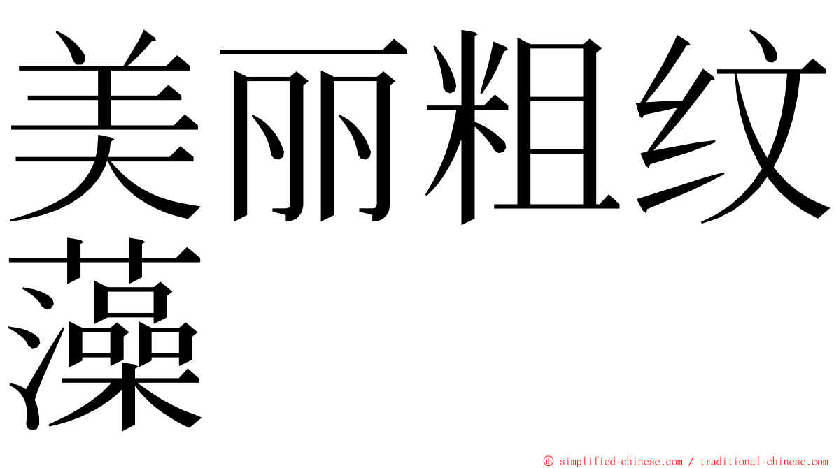 美丽粗纹藻 ming font