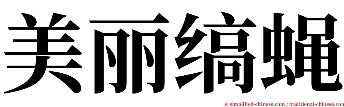 美丽缟蝇 serif font